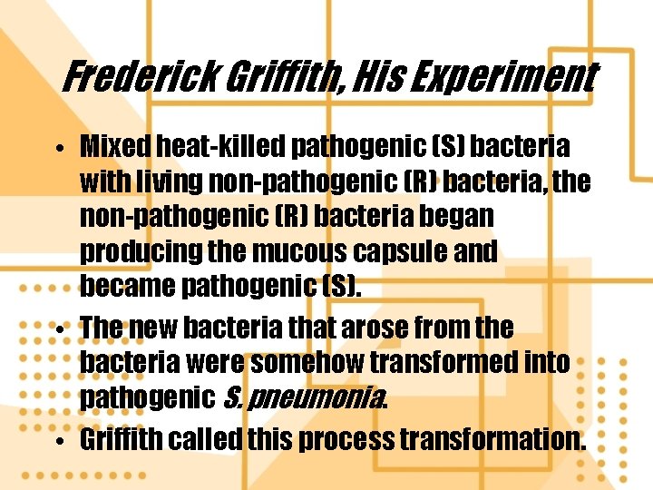 Frederick Griffith, His Experiment • Mixed heat-killed pathogenic (S) bacteria with living non-pathogenic (R)