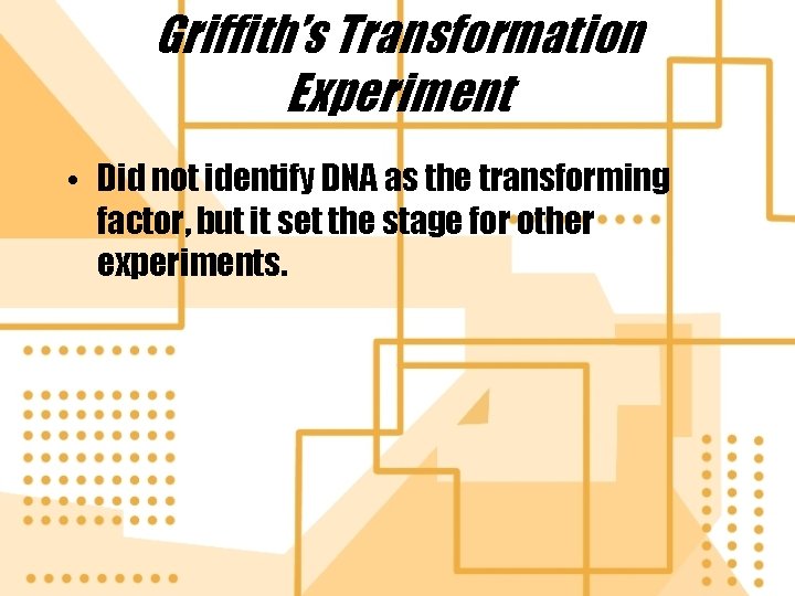 Griffith’s Transformation Experiment • Did not identify DNA as the transforming factor, but it