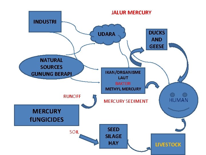 JALUR MERCURY INDUSTRI UDARA NATURAL SOURCES GUNUNG BERAPI RUNOFF DUCKS AND GEESE IKAN/ORGANISME LAUT