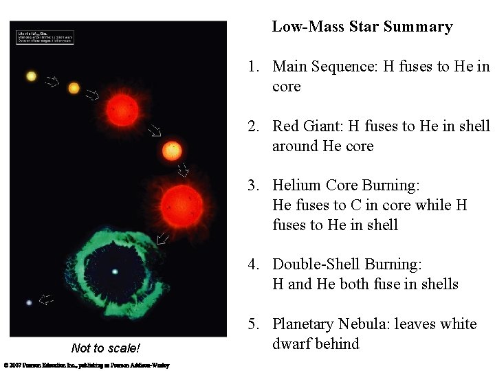 Low-Mass Star Summary 1. Main Sequence: H fuses to He in core 2. Red