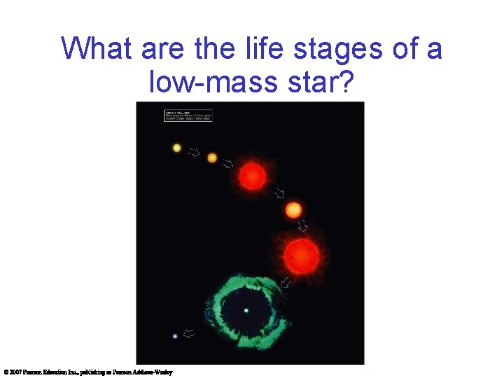 What are the life stages of a low-mass star? 