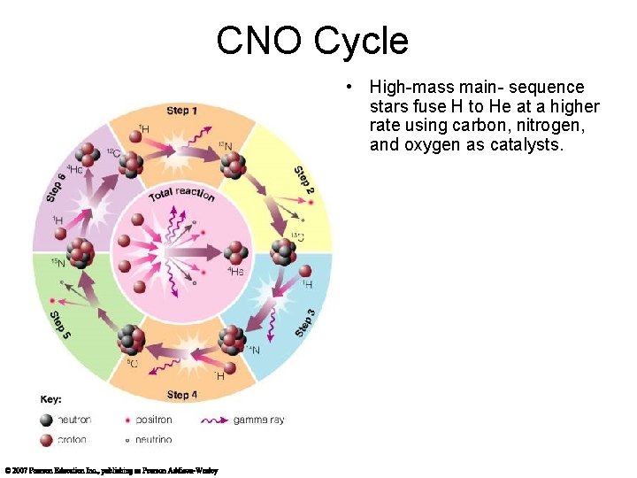 CNO Cycle • High-mass main- sequence stars fuse H to He at a higher