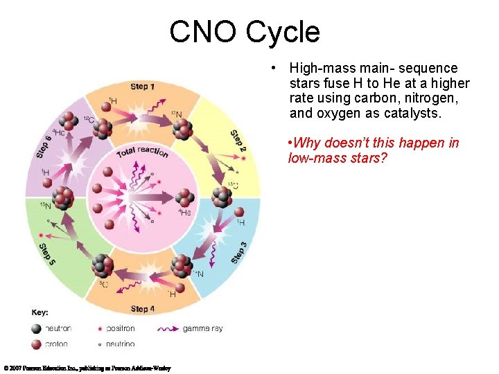 CNO Cycle • High-mass main- sequence stars fuse H to He at a higher