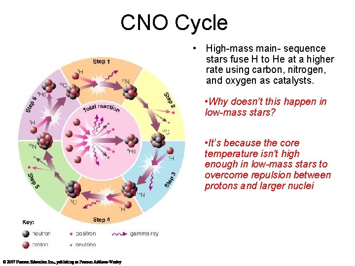 CNO Cycle • High-mass main- sequence stars fuse H to He at a higher