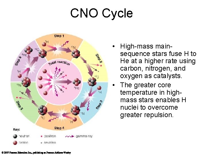 CNO Cycle • High-mass mainsequence stars fuse H to He at a higher rate