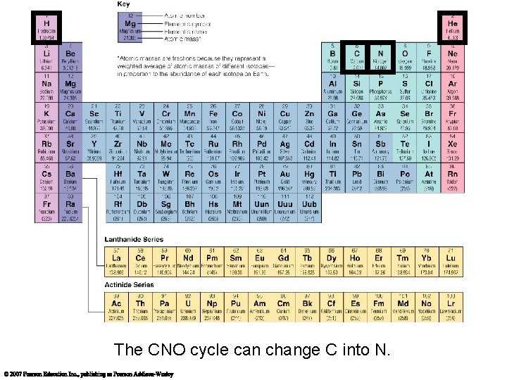 The CNO cycle can change C into N. 