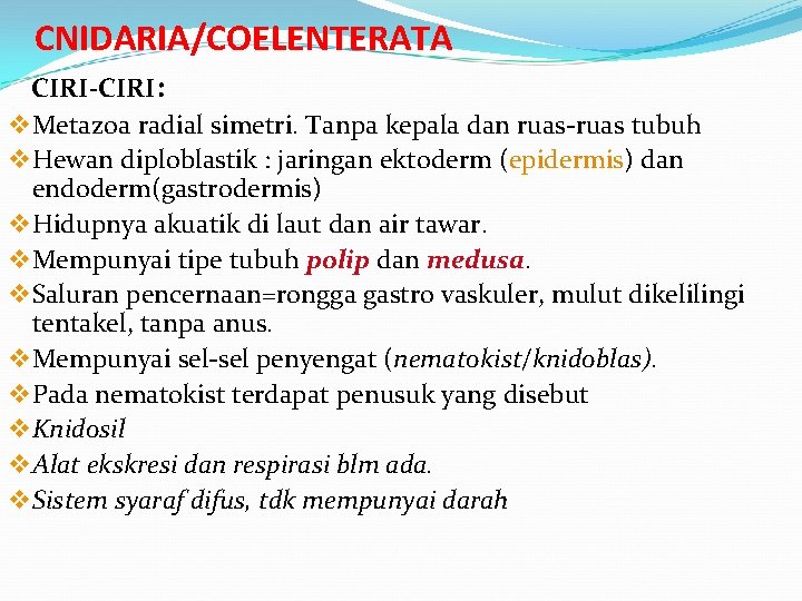 CNIDARIA/COELENTERATA CIRI-CIRI: v Metazoa radial simetri. Tanpa kepala dan ruas-ruas tubuh v Hewan diploblastik