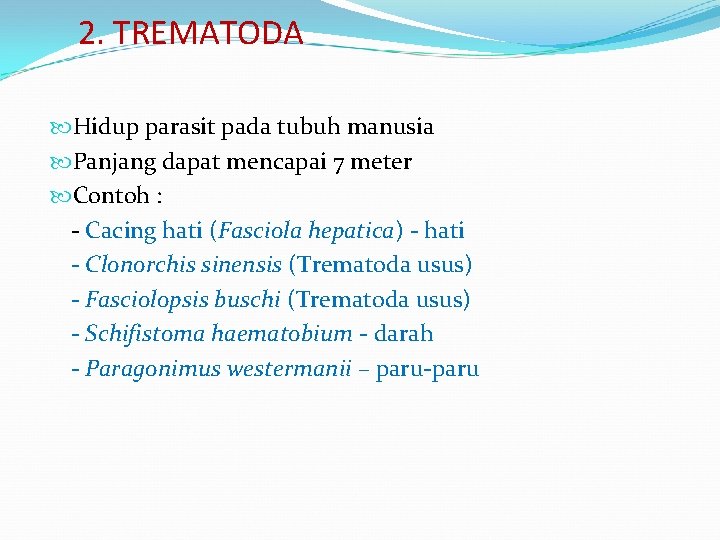 2. TREMATODA Hidup parasit pada tubuh manusia Panjang dapat mencapai 7 meter Contoh :