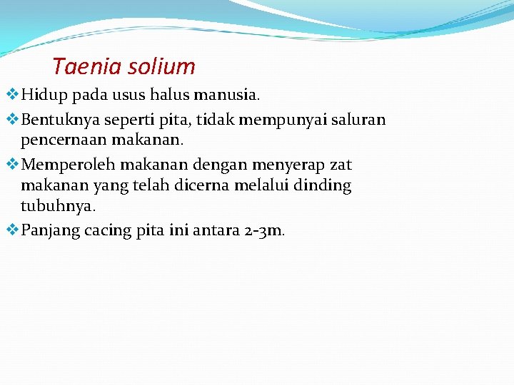 Taenia solium v Hidup pada usus halus manusia. v Bentuknya seperti pita, tidak mempunyai