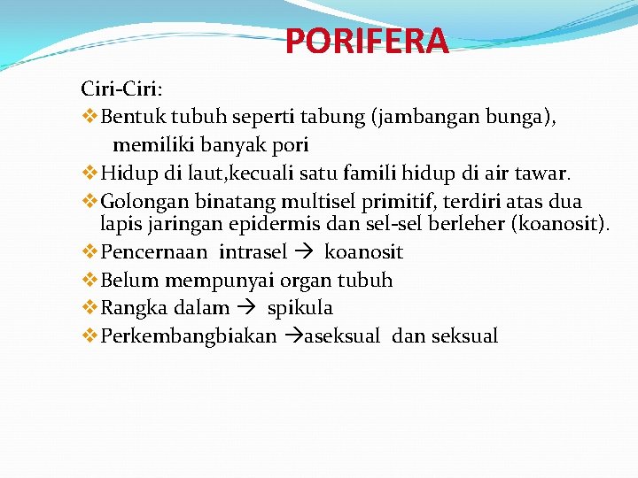 PORIFERA Ciri-Ciri: v Bentuk tubuh seperti tabung (jambangan bunga), memiliki banyak pori v Hidup