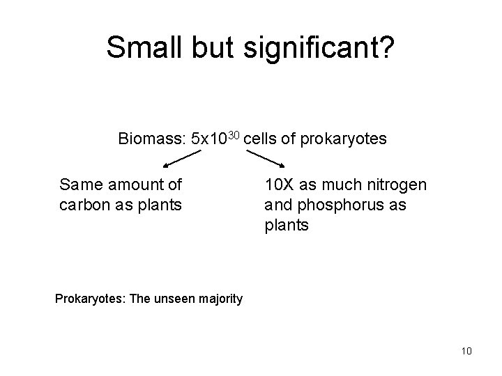 Small but significant? Biomass: 5 x 1030 cells of prokaryotes Same amount of carbon