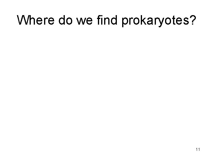 Where do we find prokaryotes? 11 