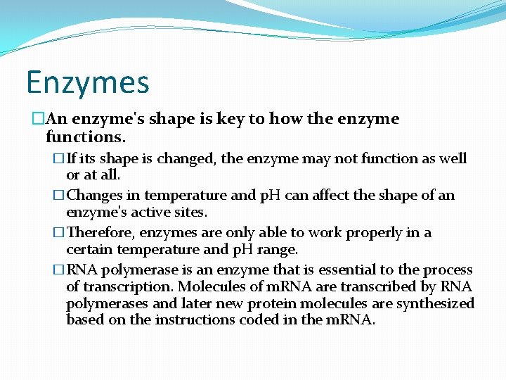 Enzymes �An enzyme's shape is key to how the enzyme functions. �If its shape