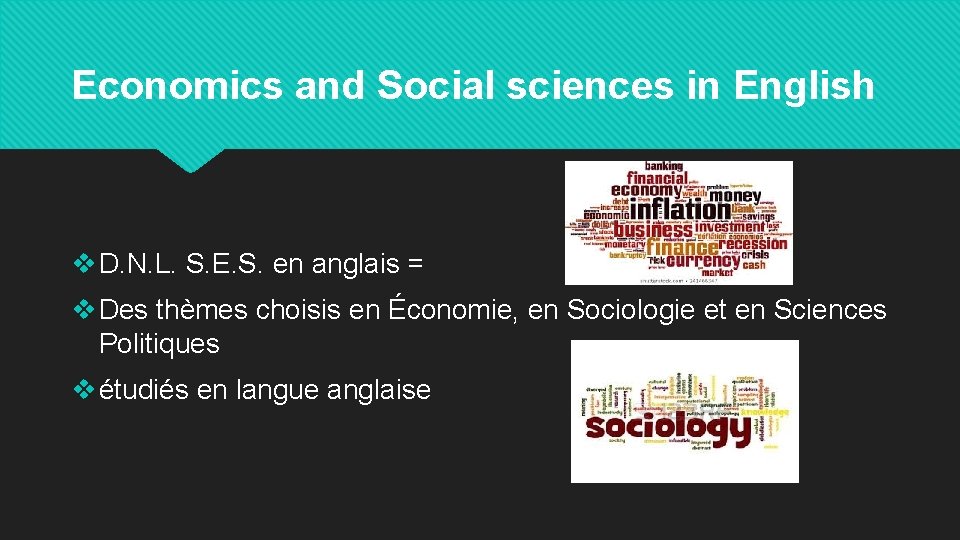 Economics and Social sciences in English v D. N. L. S. E. S. en