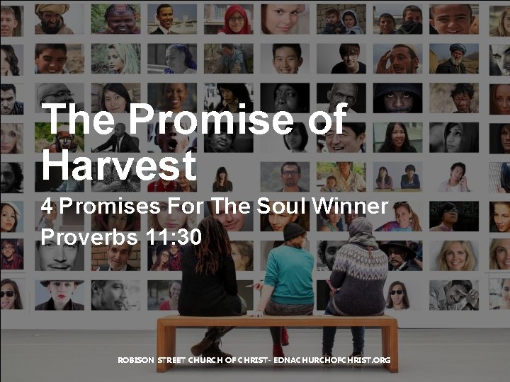 The Promise of Harvest 4 Promises For The Soul Winner Proverbs 11: 30 ROBISON