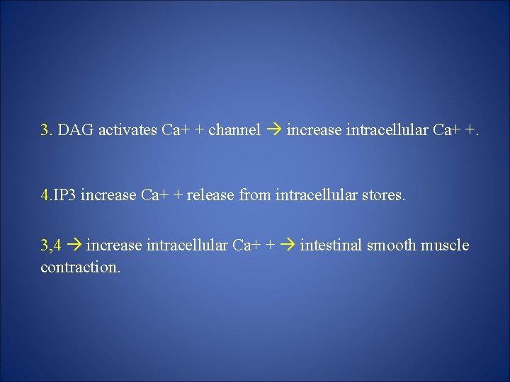 3. DAG activates Ca+ + channel increase intracellular Ca+ +. 4. IP 3 increase