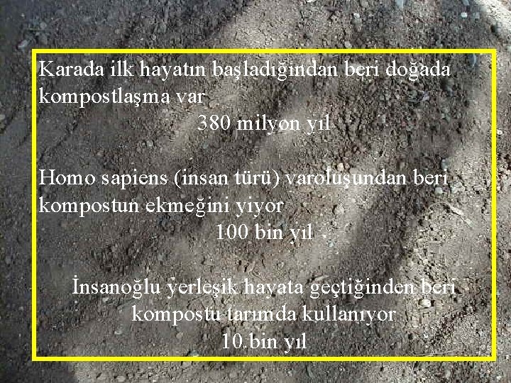 Karada ilk hayatın başladığından beri doğada kompostlaşma var 380 milyon yıl Homo sapiens (insan