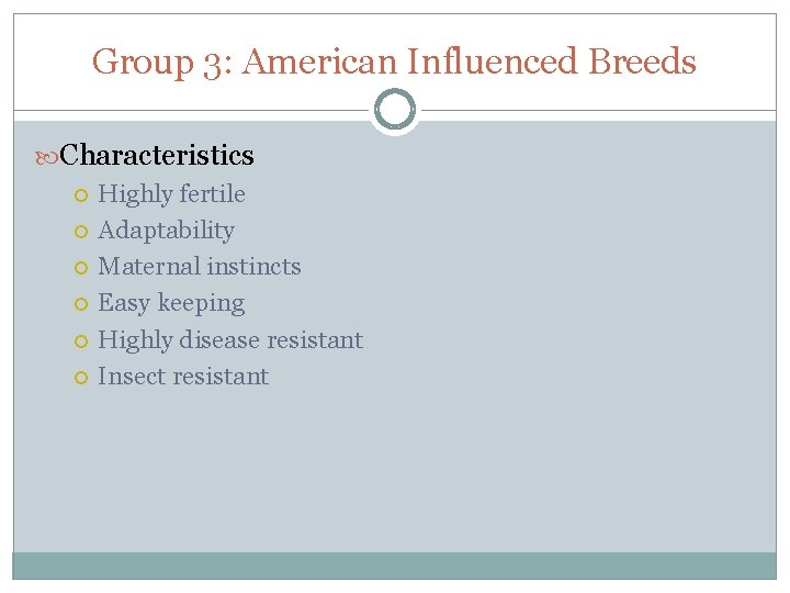 Group 3: American Influenced Breeds Characteristics Highly fertile Adaptability Maternal instincts Easy keeping Highly