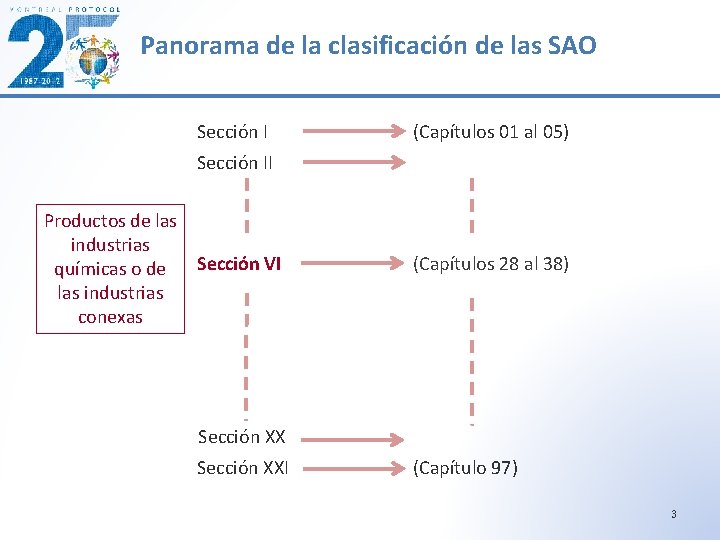 Panorama de la clasificación de las SAO Sección I (Capítulos 01 al 05) Sección