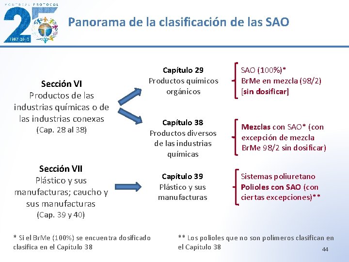 Panorama de la clasificación de las SAO Sección VI Productos de las industrias químicas
