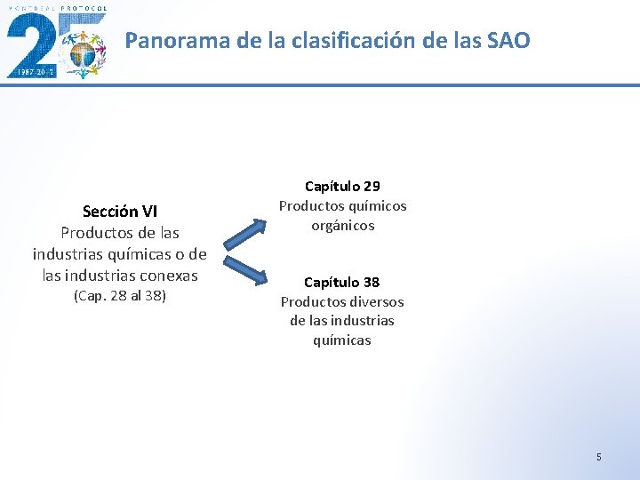 Panorama de la clasificación de las SAO Sección VI Productos de las industrias químicas