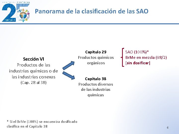 Panorama de la clasificación de las SAO Sección VI Productos de las industrias químicas