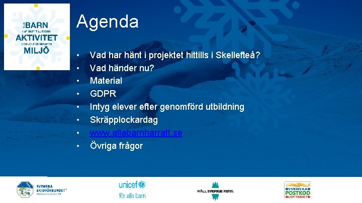 Agenda • • Vad har hänt i projektet hittills i Skellefteå? Vad händer nu?
