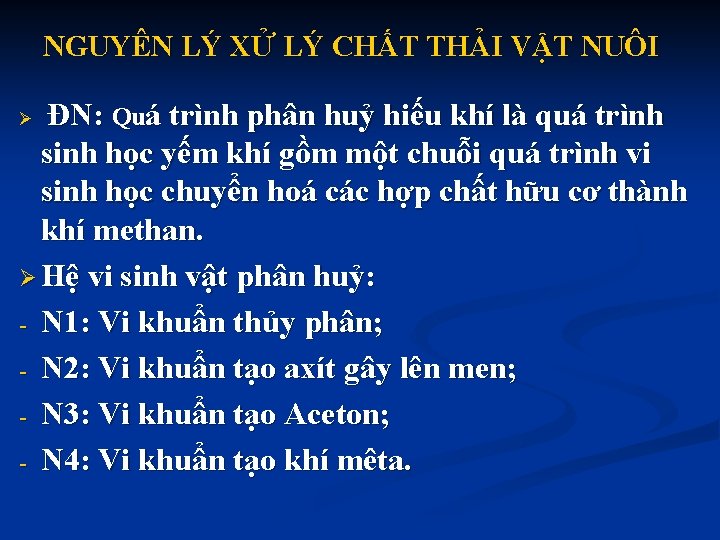 NGUYÊN LÝ XỬ LÝ CHẤT THẢI VẬT NUÔI ĐN: Quá trình phân huỷ hiếu