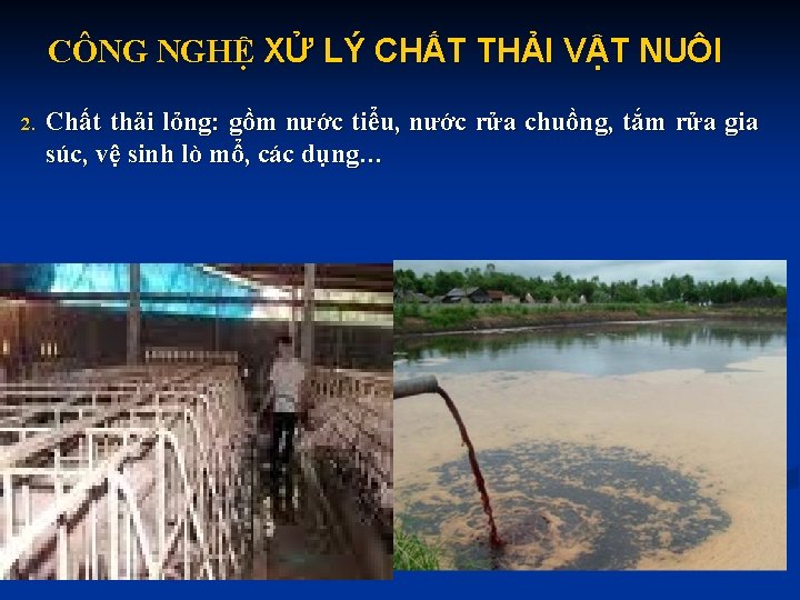 CÔNG NGHỆ XỬ LÝ CHẤT THẢI VẬT NUÔI 2. Chất thải lỏng: gồm nước