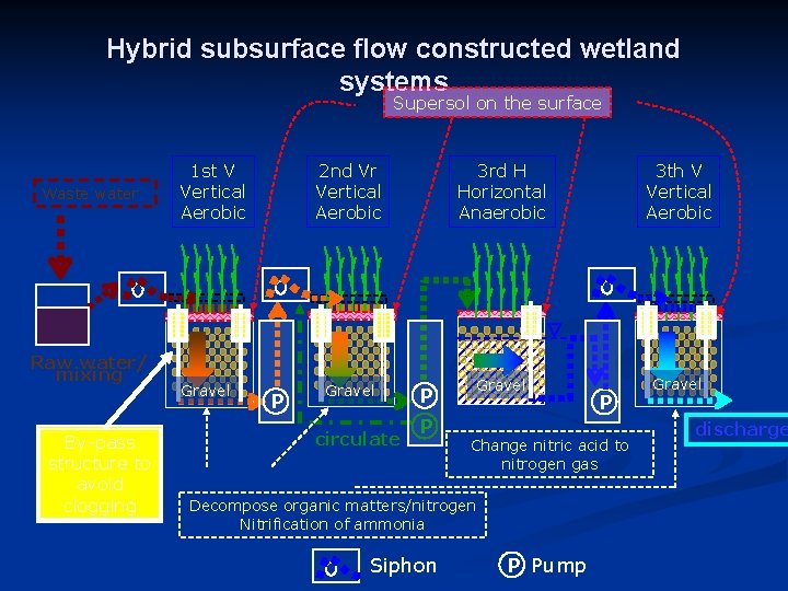 Hybrid subsurface flow constructed wetland systems Supersol on the surface Waste water Raw water/