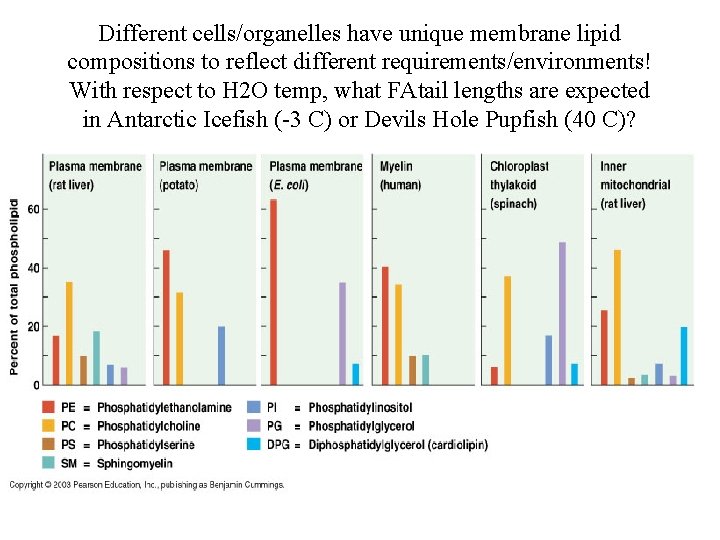 Different cells/organelles have unique membrane lipid compositions to reflect different requirements/environments! With respect to