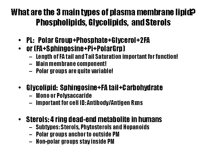 What are the 3 main types of plasma membrane lipid? Phospholipids, Glycolipids, and Sterols