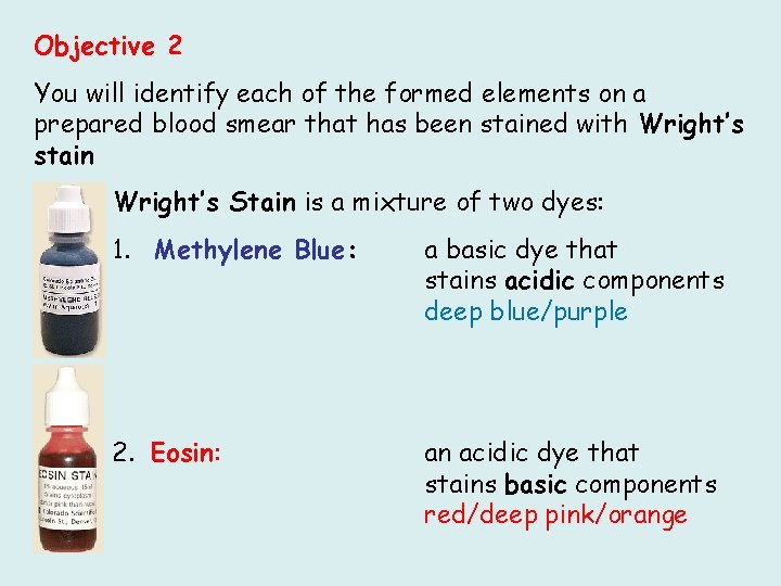 Objective 2 You will identify each of the formed elements on a prepared blood