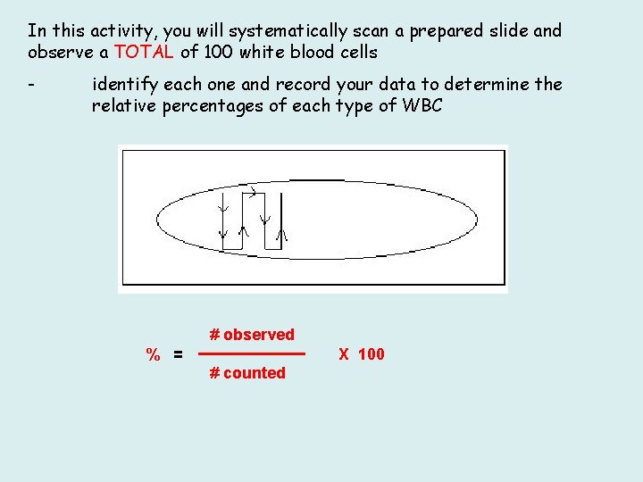 In this activity, you will systematically scan a prepared slide and observe a TOTAL