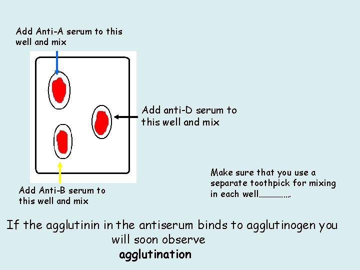 Add Anti-A serum to this well and mix Add anti-D serum to this well