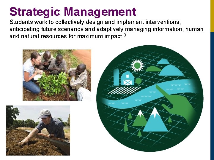 Strategic Management Students work to collectively design and implement interventions, anticipating future scenarios and