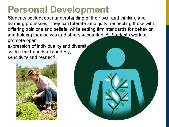 Personal Development Students seek deeper understanding of their own and thinking and learning processes.
