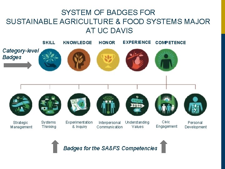 SYSTEM OF BADGES FOR SUSTAINABLE AGRICULTURE & FOOD SYSTEMS MAJOR AT UC DAVIS SKILL