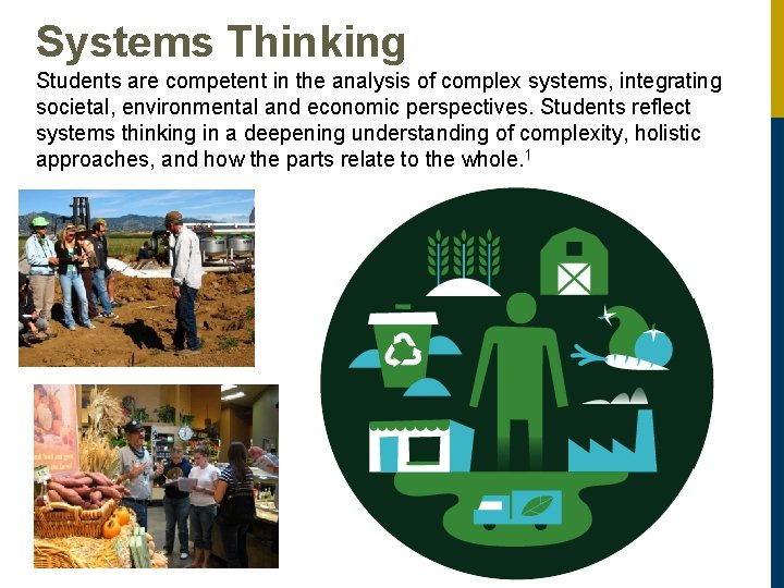 Systems Thinking Students are competent in the analysis of complex systems, integrating societal, environmental