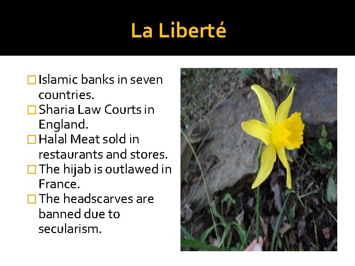 La Liberté � Islamic banks in seven countries. � Sharia Law Courts in England.