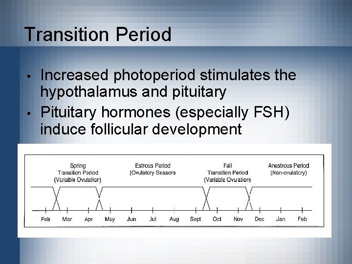 Transition Period • • Increased photoperiod stimulates the hypothalamus and pituitary Pituitary hormones (especially