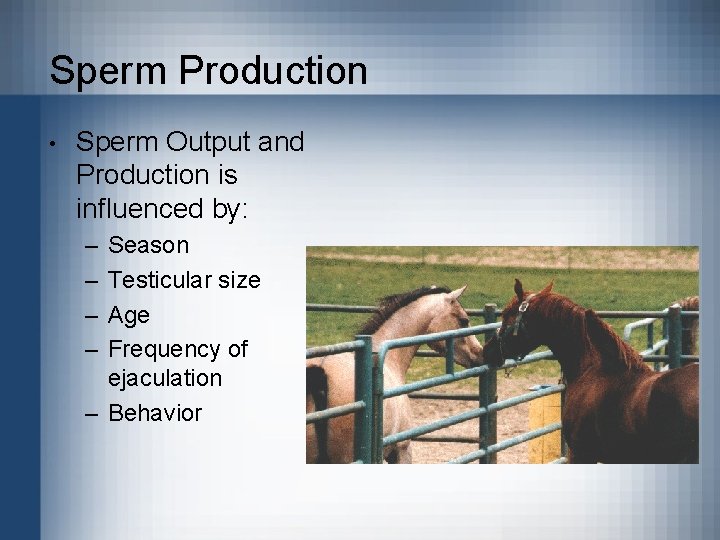Sperm Production • Sperm Output and Production is influenced by: – – Season Testicular