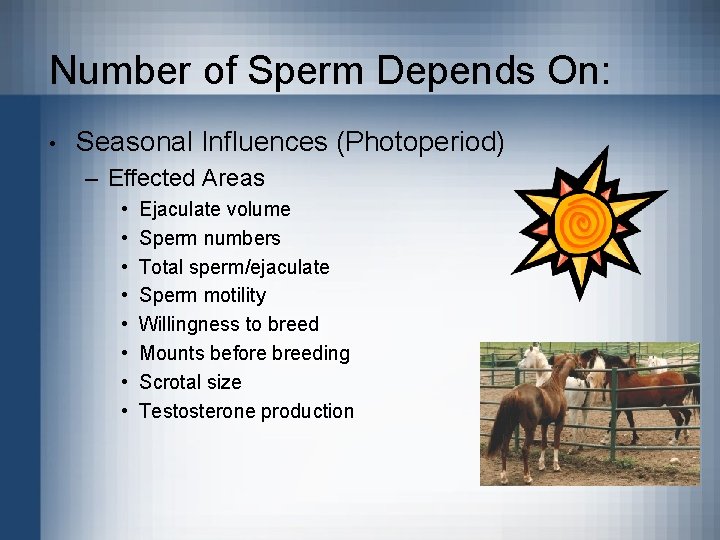 Number of Sperm Depends On: • Seasonal Influences (Photoperiod) – Effected Areas • •