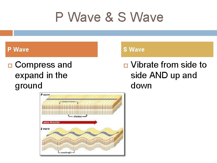 P Wave & S Wave P Wave Compress and expand in the ground S P Wave & S Wave P Wave Compress and expand in the ground S