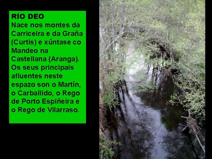 RÍO DEO Nace nos montes da Carriceira e da Graña (Curtis) e xúntase co