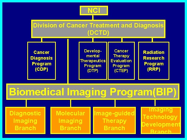 NCI Division of Cancer Treatment and Diagnosis (DCTD) Cancer Diagnosis Program (CDP) Developmental Therapeutics