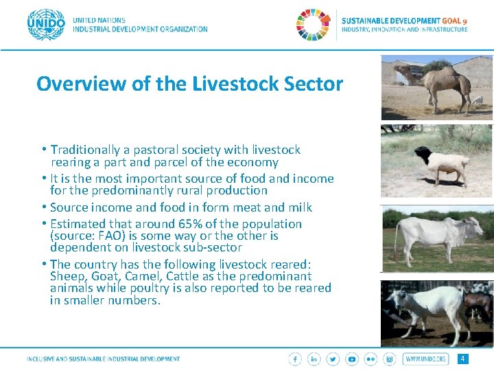 Overview of the Livestock Sector • Traditionally a pastoral society with livestock rearing a