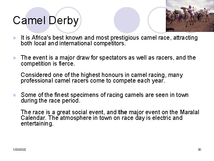 Camel Derby l It is Africa's best known and most prestigious camel race, attracting