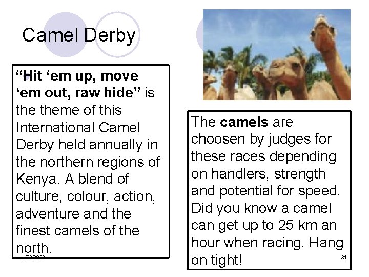 Camel Derby “Hit l ‘em up, move ‘em out, raw hide” is theme of