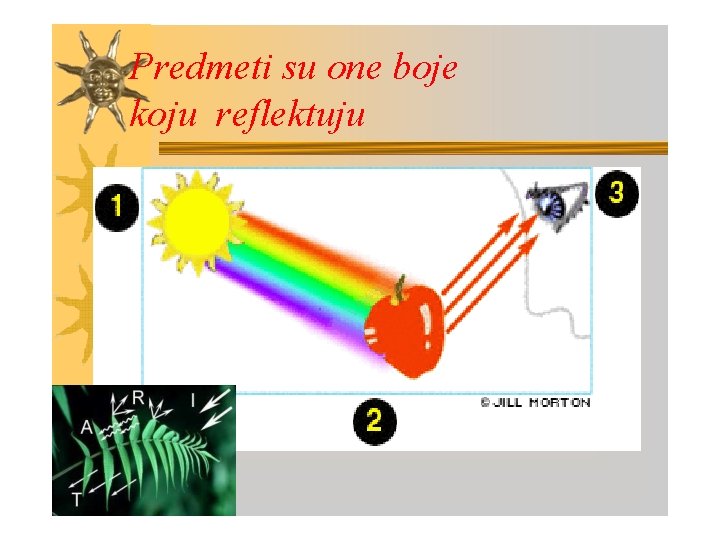 Predmeti su one boje koju reflektuju 